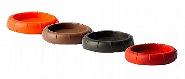 ���� ������ ������ ��������