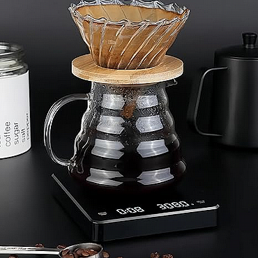 ���� ������� ���� �� ����� ���� �����