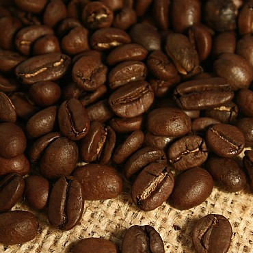  ���  Sandalj - Paganini Blend