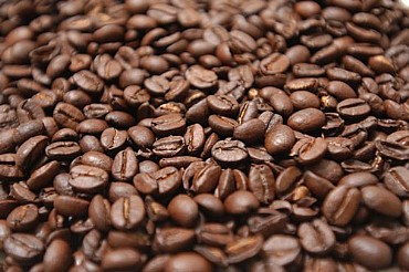  ���  Sandalj - Verdi Blend