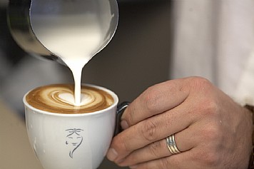 ��� Sandalj - Cappuccino Blend	