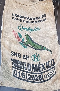 ��� ���� ������ �������- SHG ESMERALDA Mexico