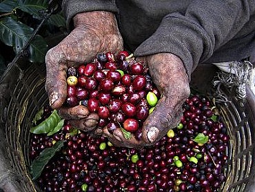 ��� ���� ���� ���� ������� - Cuba Serrano Superior