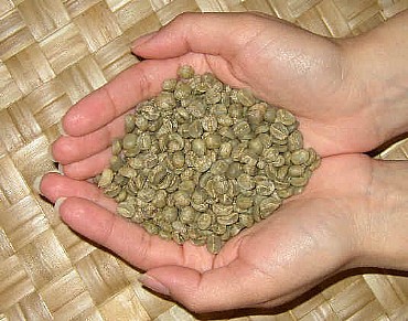 ��� ���� ������� - Honduras Montecristo 17/18