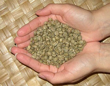 ��� ���� ������� - Honduras Montecristo 17/18