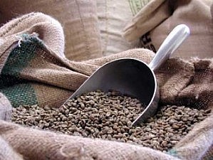 ��� ���� ���� �'�� - Indian Cherry AA