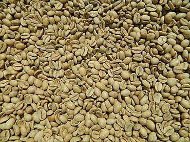 ��� ���� ���� ������ ����� - Indian Arabica  Monsooned Malabar-AA  