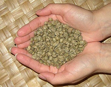 ��� ���� 100% ������ ������� ���� �����  -   Ethiopia, Guji Natural  