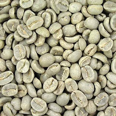 ��� ���� ���� ���� - Indian Robusta  Parchment  A  