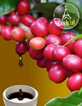 ��� ���� ������� ������ - Ethiopia Yigacheffe 