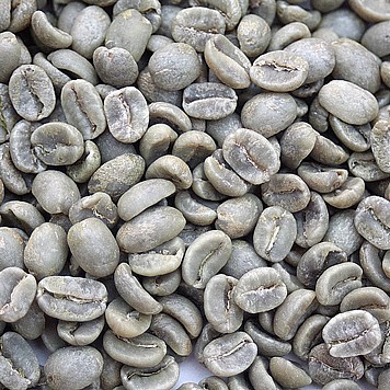 ��� ���� ������ ���