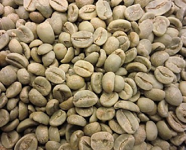 ��� ���� ������ Sandalj - Stradivari Blend