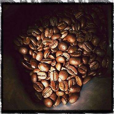 ��� ���� ������ Sandalj - Toscanini Blend
