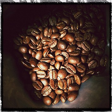 ��� ���� ������ Sandalj - Toscanini Blend