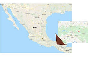 1 �"� ��� ���� ������ ������ -  UCIPA- SHG FANCY ESTATE Mexico